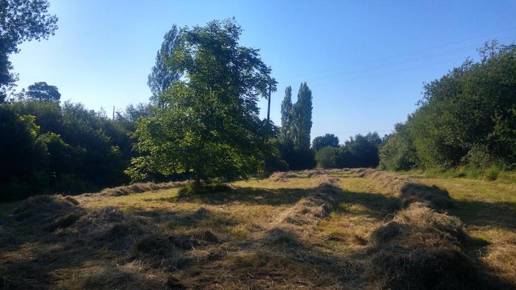 L'Angeberdiere Saint-Mars-sur-la-Futaie Kültér fotó