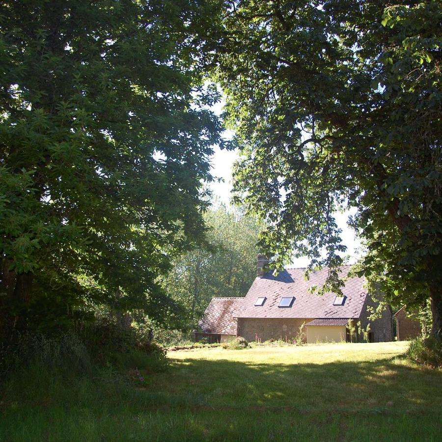 L'Angeberdiere Saint-Mars-sur-la-Futaie Kültér fotó